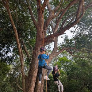 一級運動攀登訓練證書課程
