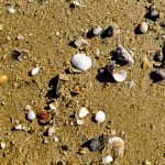 王先生 · AEI學員